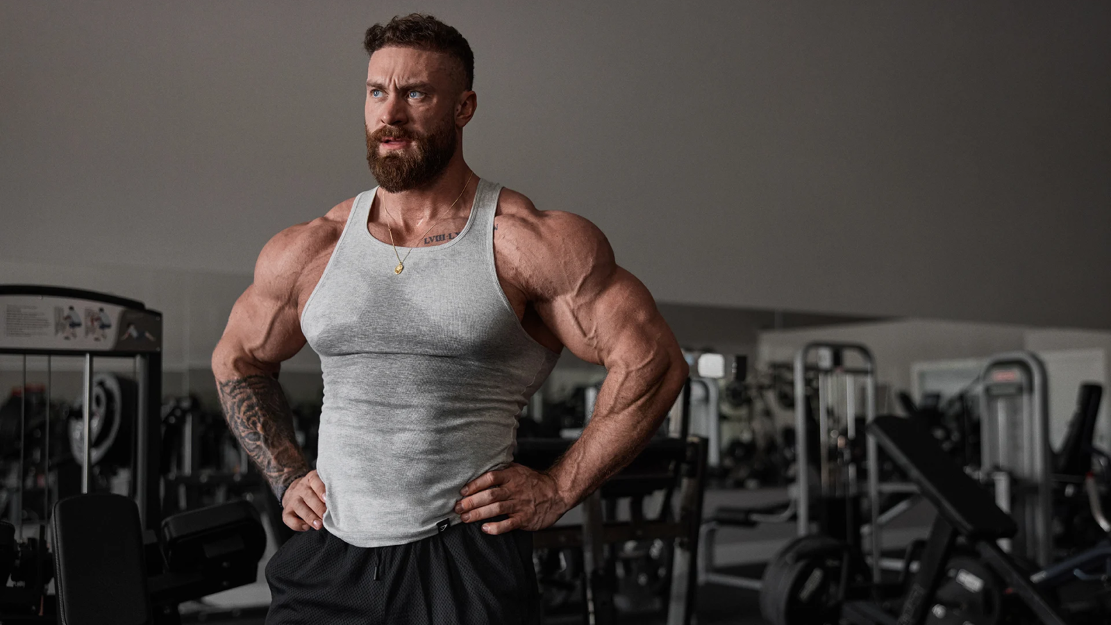 bumstead.webp