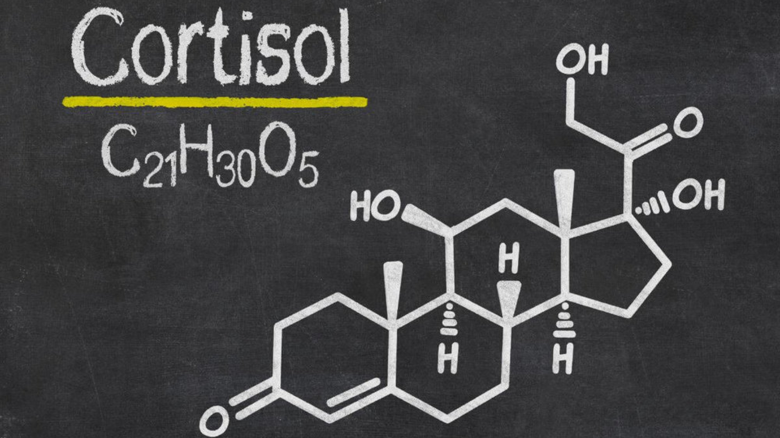 cortisol-stress