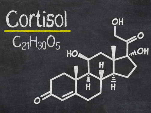 cortisol-stress