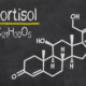 cortisol-stress