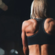 muscle.webp